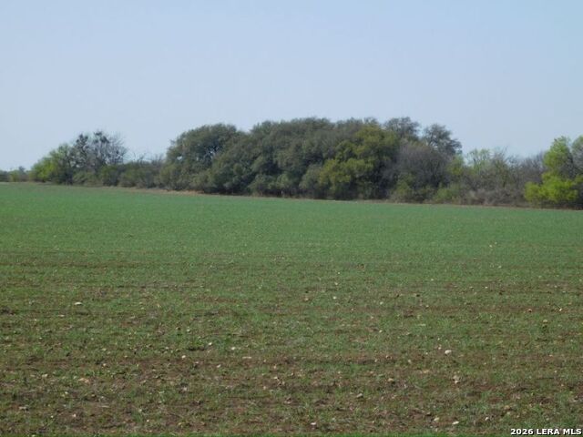 10566 Texas 127 Property Photo 3