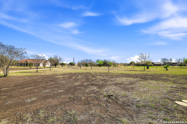 11421 Ware Seguin Property Photo 3
