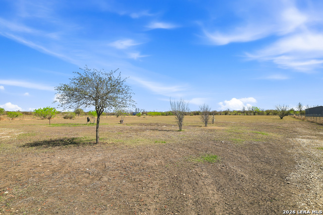 11421 Ware Seguin Property Photo 39