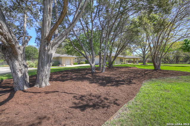 8 Trophy Property Photo 39