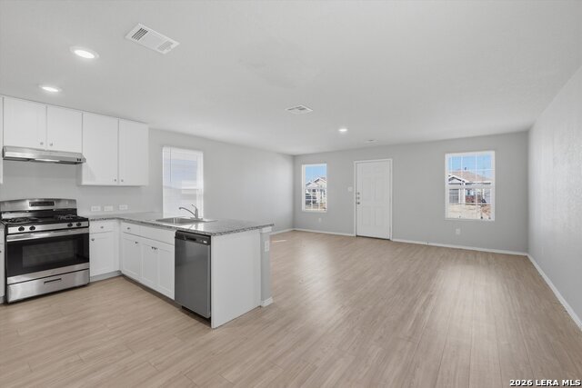 8110 Serro Medina Property Photo 5