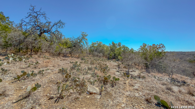 1076 Blue Bonnet Hill Property Photo 6