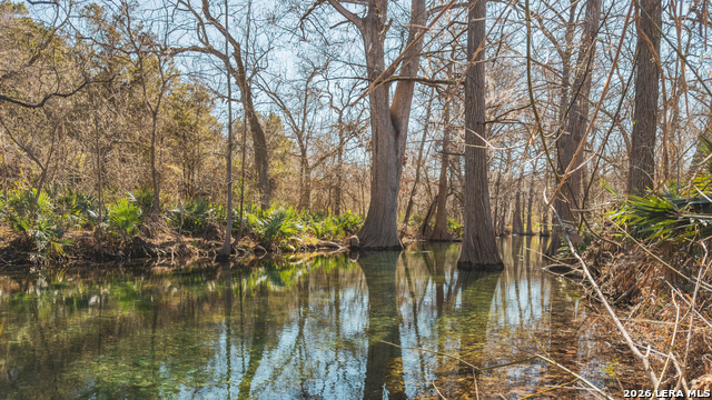 1076 Blue Bonnet Hill Property Photo 15