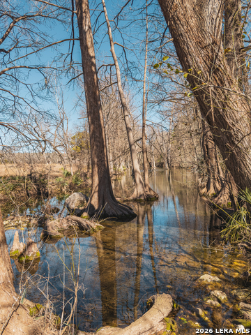 1076 Blue Bonnet Hill Property Photo 16