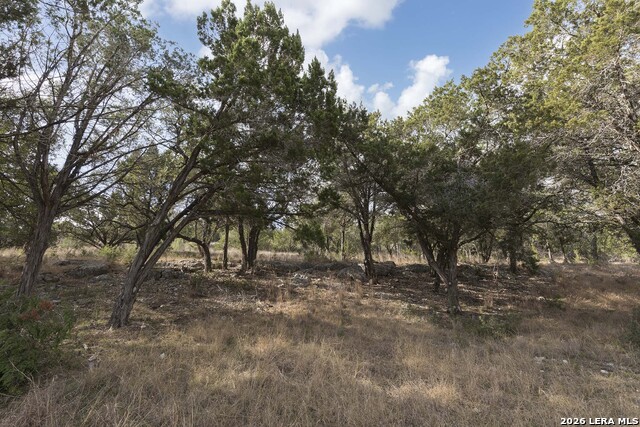 2093 Alto Lago Property Photo 8