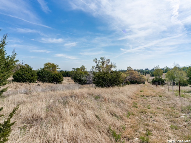 7991 Ranch Road 965 Property Photo 42