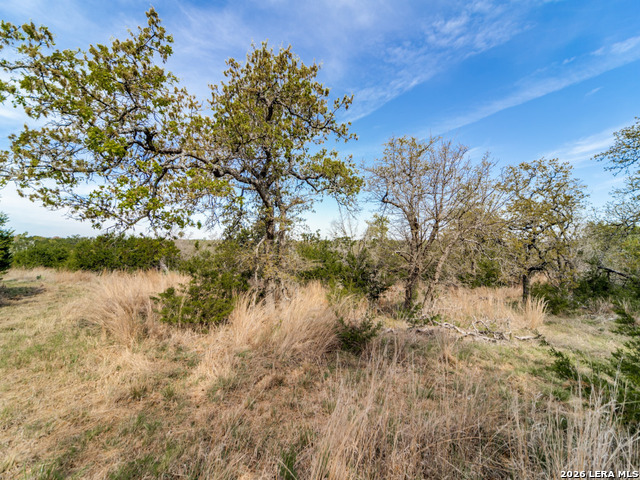 7991 Ranch Road 965 Property Photo 44