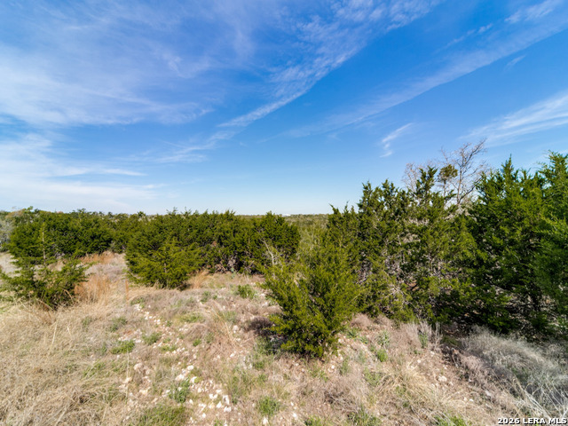 7991 Ranch Road 965 Property Photo 45