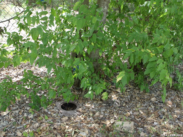 1514 Ash St Property Photo 5
