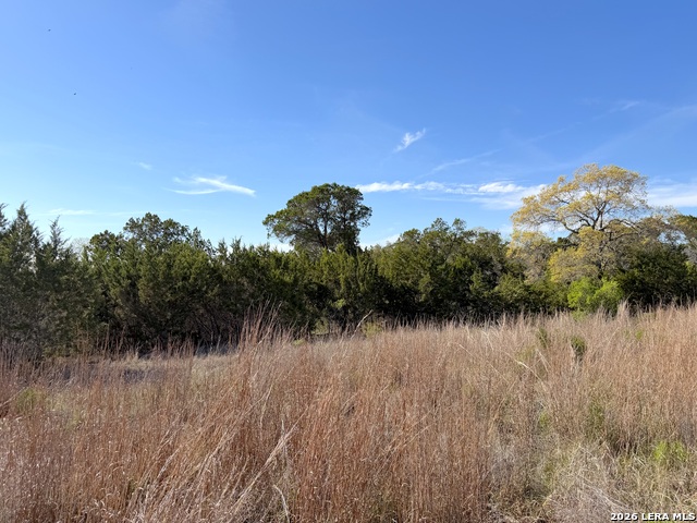 126 Riddle Property Photo 13