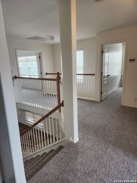 10519 Cougar Chase Property Photo 16