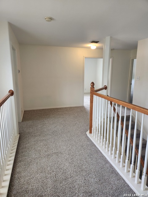 10519 Cougar Chase Property Photo 18