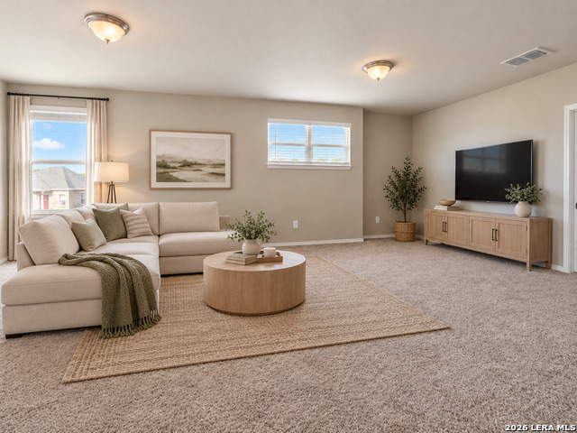 10439 Lateleaf Oak Property Photo 18