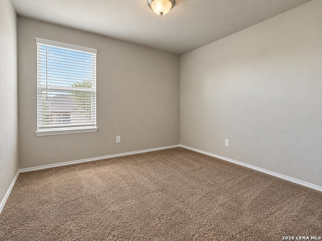 10439 Lateleaf Oak Property Photo 19