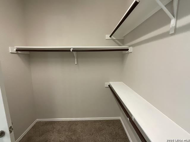 12422 Red Maple Property Photo 18
