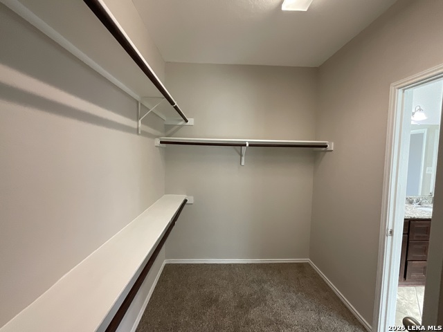 12422 Red Maple Property Photo 19