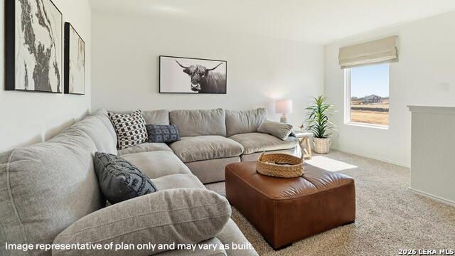 1420 Sequoia Park Property Photo 25