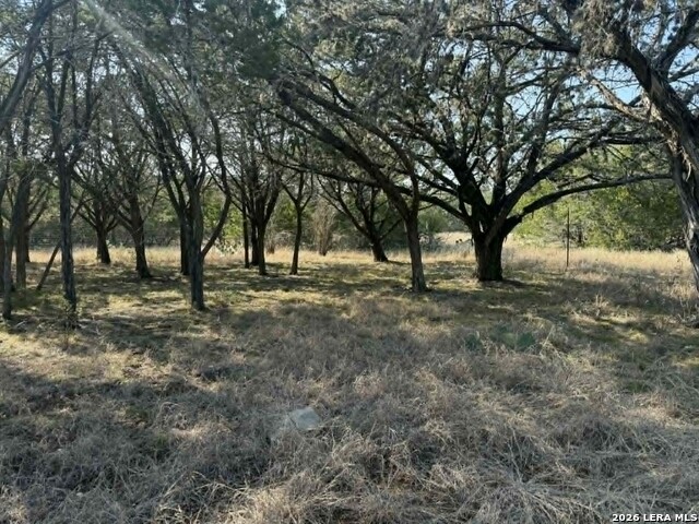 202 Itll Do Property Photo 1