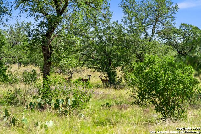 620 Rio Vista Rd Property Photo 4