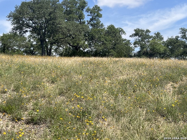 1161 Brads Flight Property Photo 10