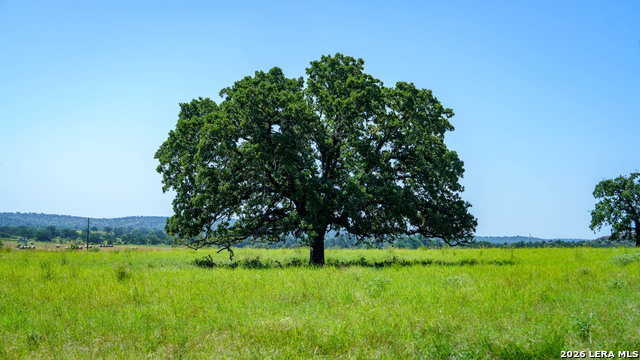 9978 Hay Spring Property Photo 2