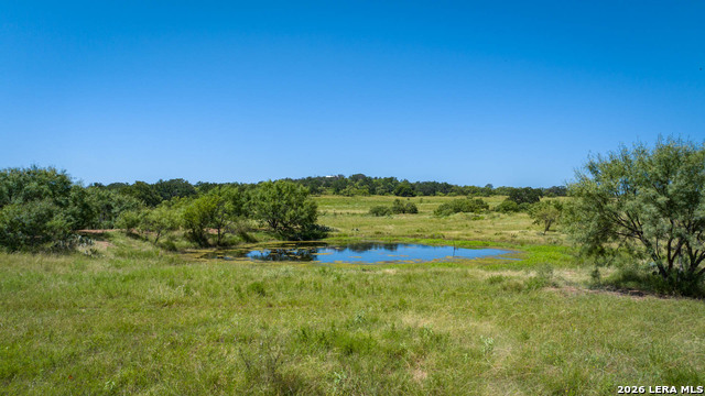 9978 Hay Spring Property Photo 3