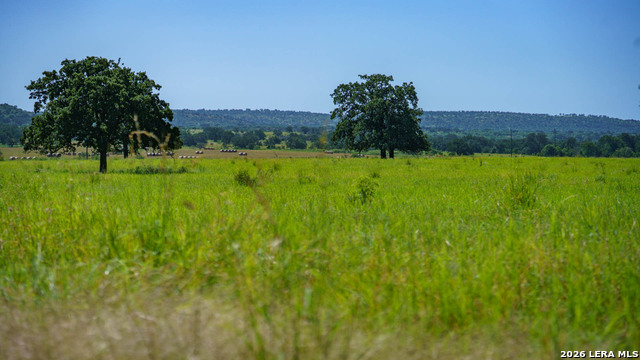 9978 Hay Spring Property Photo 4