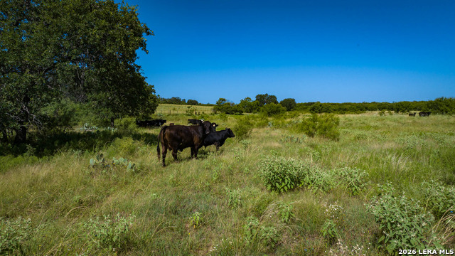9978 Hay Spring Property Photo 5