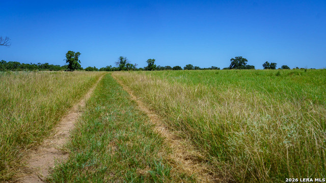 9978 Hay Spring Property Photo 7