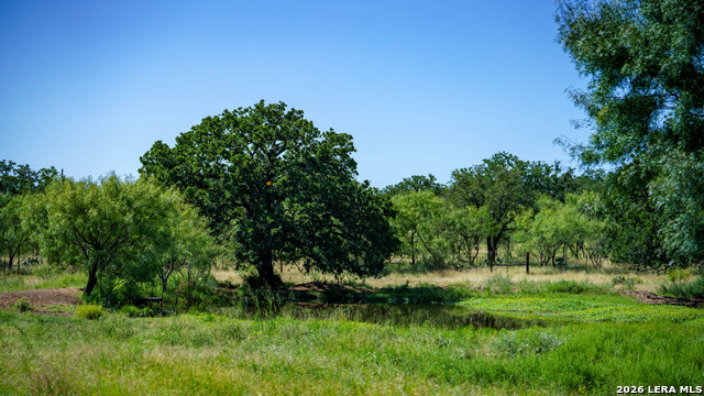 9978 Hay Spring Property Photo 10