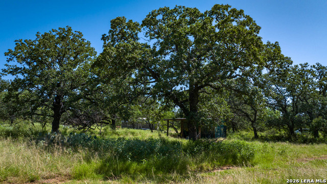 9978 Hay Spring Property Photo 12