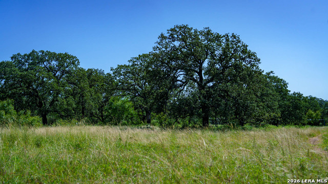 9978 Hay Spring Property Photo 15