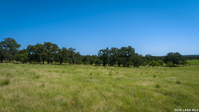 9978 Hay Spring Property Photo 20