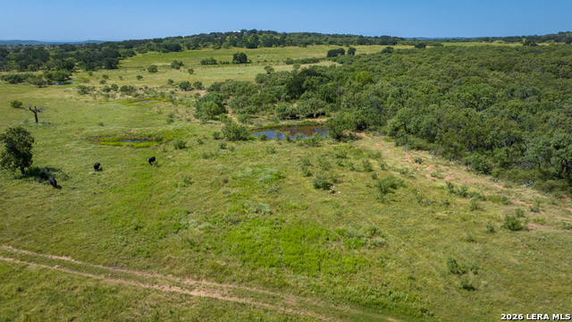 9978 Hay Spring Property Photo 21