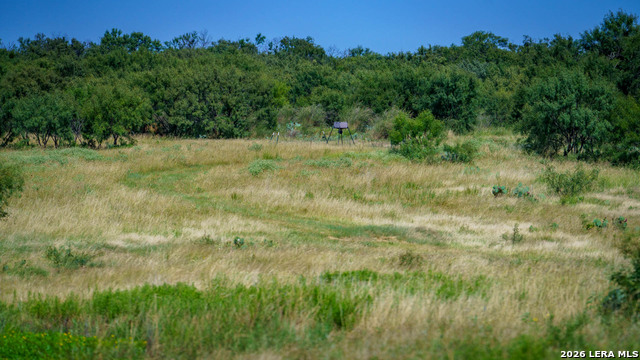 9978 Hay Spring Property Photo 22
