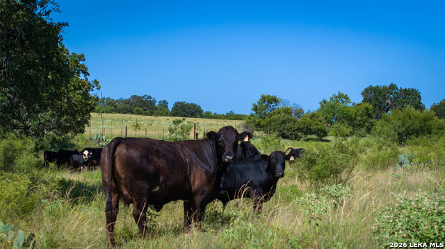 9978 Hay Spring Property Photo 23