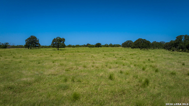 9978 Hay Spring Property Photo 24