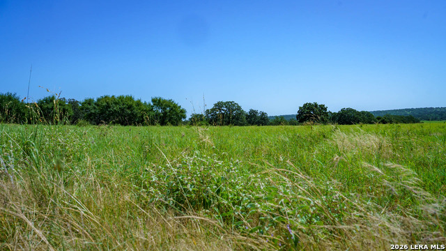9978 Hay Spring Property Photo 26