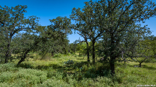 9978 Hay Spring Property Photo 30