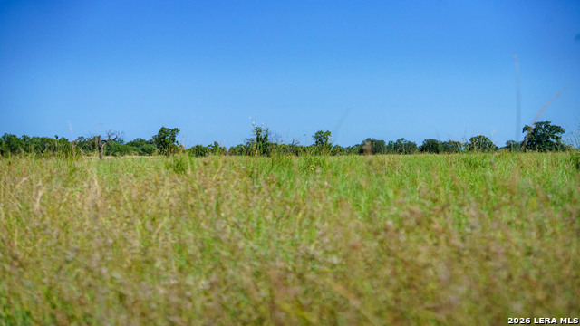 9978 Hay Spring Property Photo 31