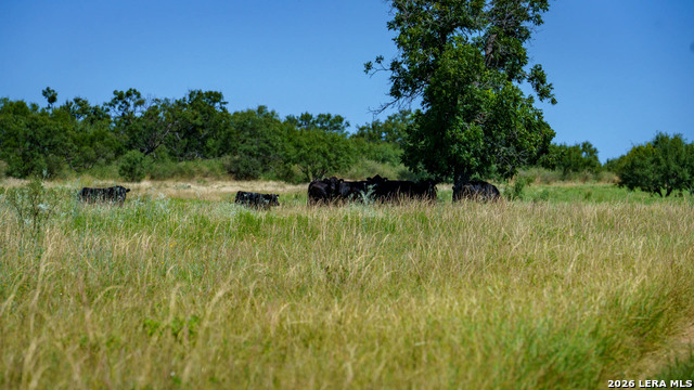 9978 Hay Spring Property Photo 34