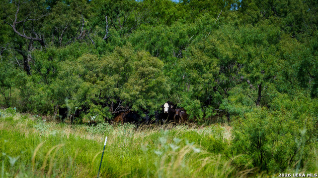 9978 Hay Spring Property Photo 37