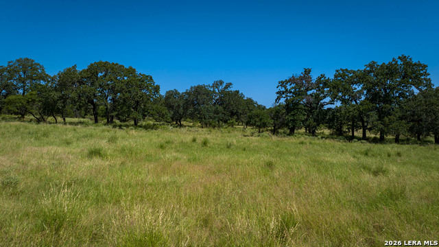 9978 Hay Spring Property Photo 38