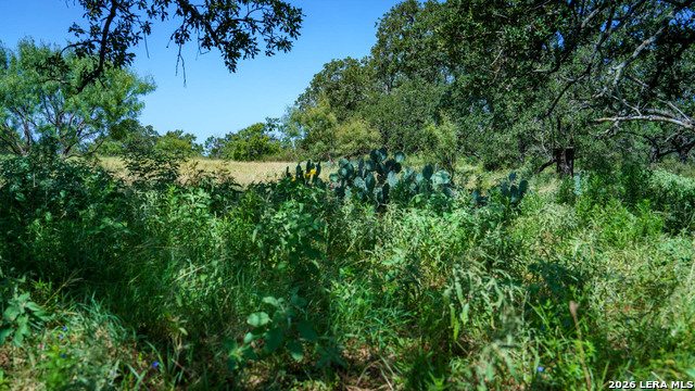 9978 Hay Spring Property Photo 41