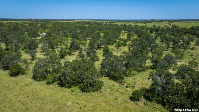 9978 Hay Spring Property Photo 43