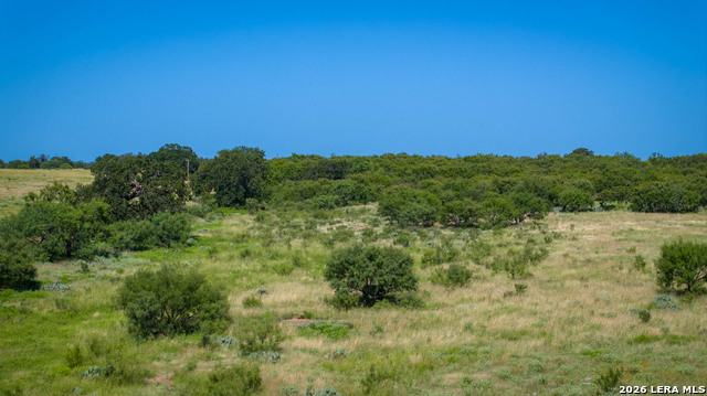 9978 Hay Spring Property Photo 44