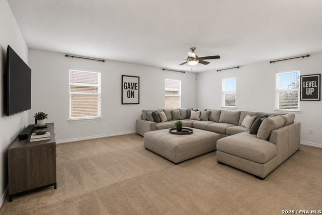 524 Landmark Fls Property Photo 5