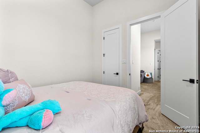 507 Caliban Property Photo 33