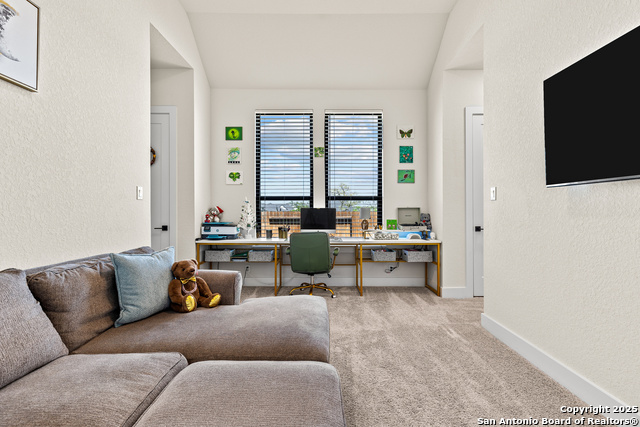 507 Caliban Property Photo 44
