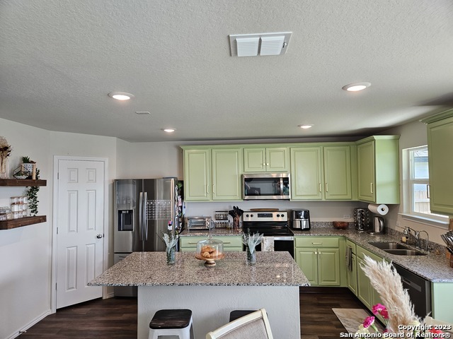 535 Wild Olive Way Property Photo 14